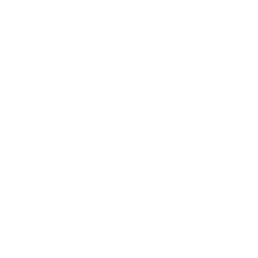Pessimista